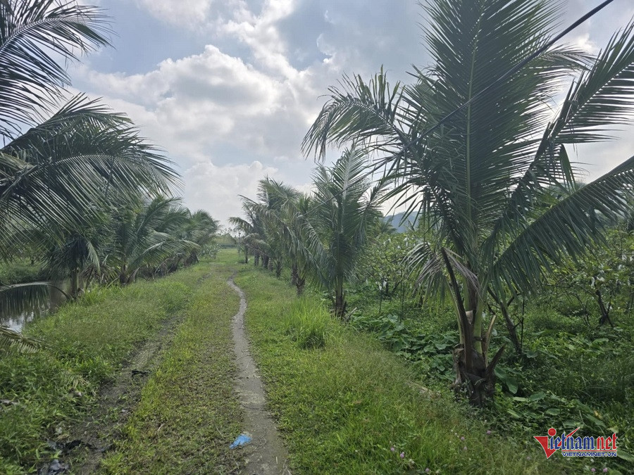 W-c116482f 4b36 461d 9b2f fd12504eb67e.jpg