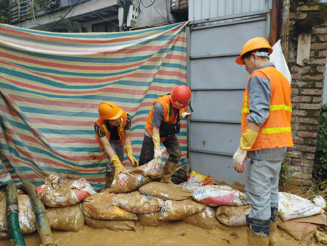 c6b712fe d394 4fa8 ba7c a82d57742133.jpg