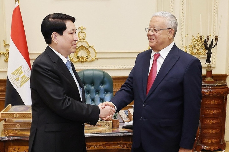 Chủ tịch nước Lương Cường hội kiến Chủ tịch Hạ viện Ai Cập