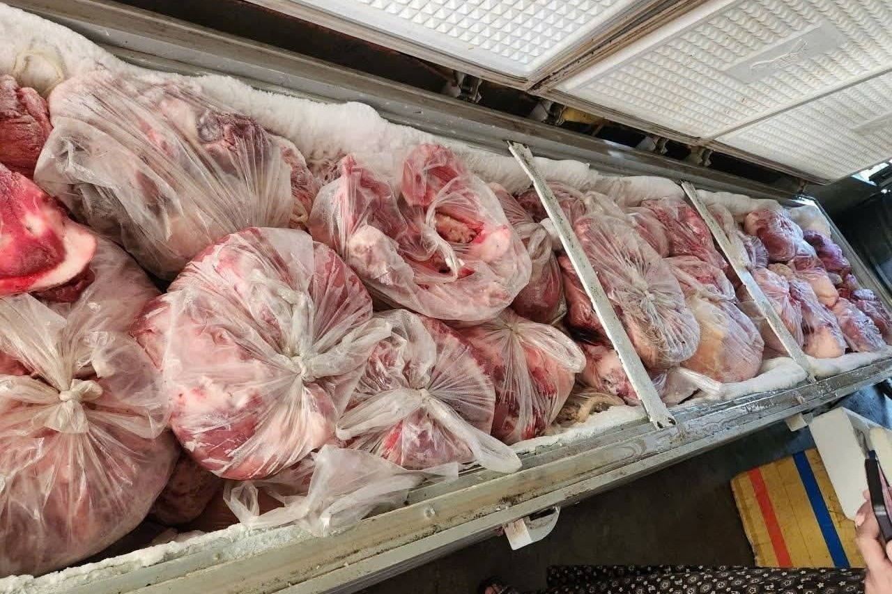 Phát hiện 1 tấn thịt lợn nhiễm bệnh được cấp đông tại nhà ở Nghệ An