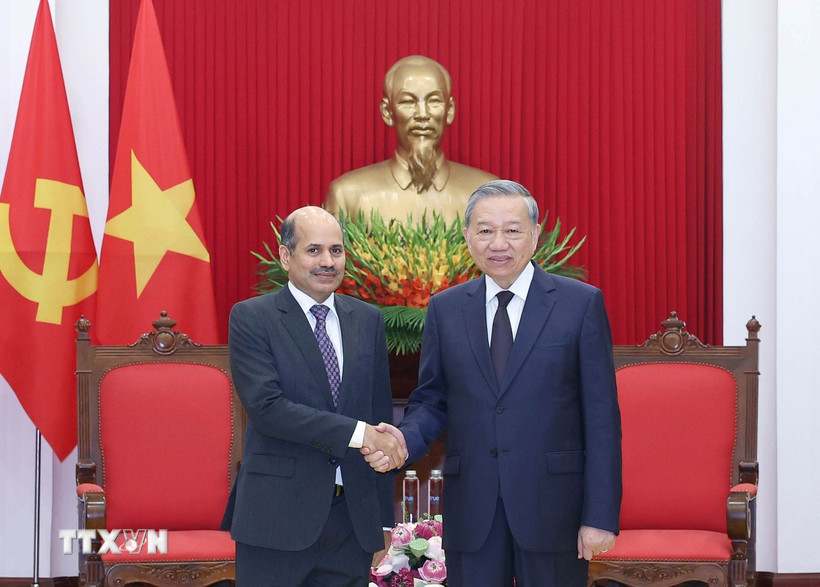 tong bi thu to lam tiep dai su an do tai viet nam 06 1.jpg