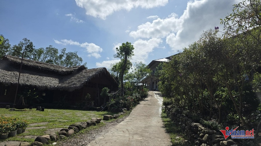 W-08349224 2b45 49f7 9899 2a457d869a69.jpg