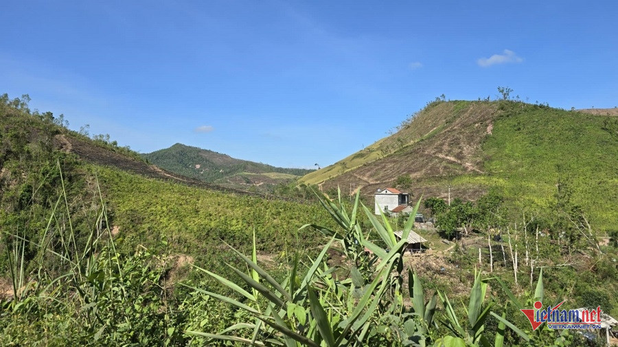 W-81020826 bcb5 4b8b b69e 3509fdadbdf8.jpg