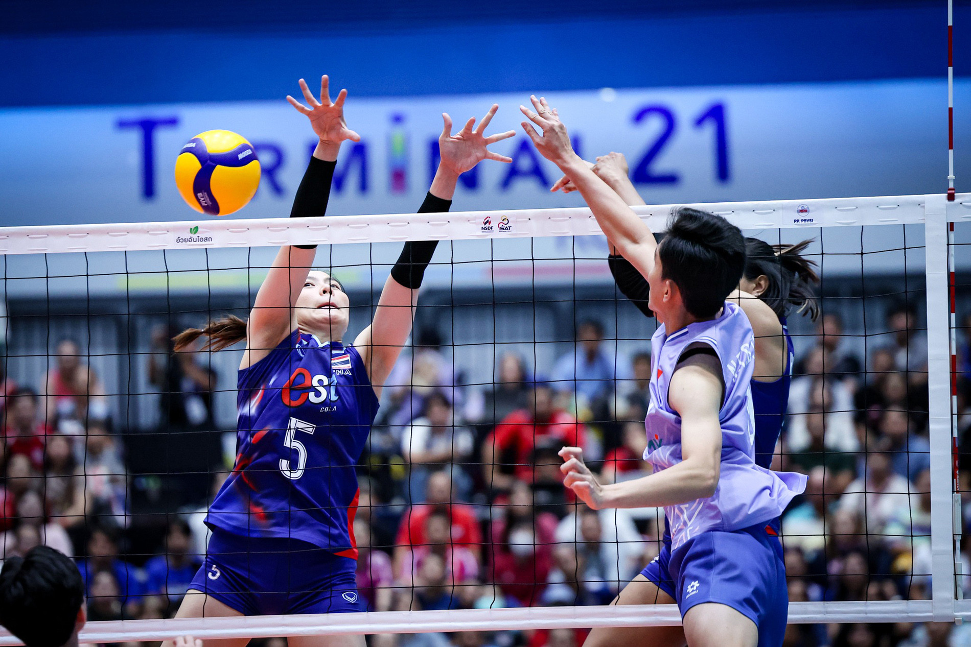 bong chuyen sea vleague.jpg