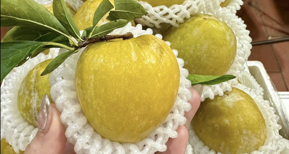 Mận cau Trung Quốc từng có giá 450 nghìn/kg, giờ rớt giá không ai ngờ