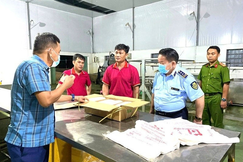 Gia Lai phát hiện hàng nghìn con lợn sữa trong kho đông lạnh không rõ nguồn gốc