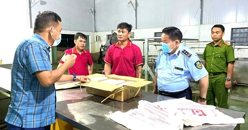 Gia Lai phát hiện hàng nghìn con lợn sữa trong kho đông lạnh không rõ nguồn gốc