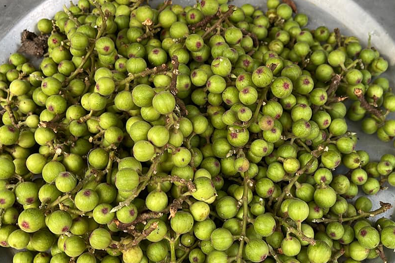 Quả sung - kho canxi tự nhiên tốt cho sức khỏe