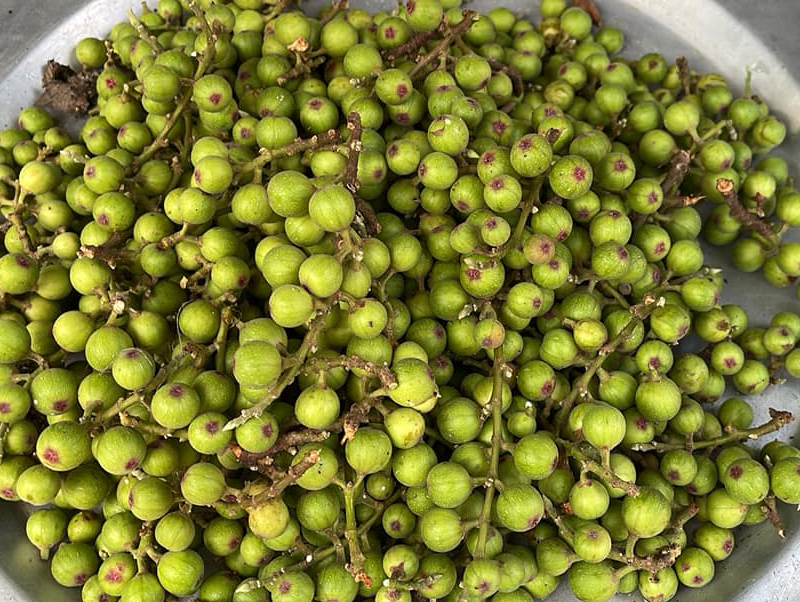 tác dung của quả sung.png