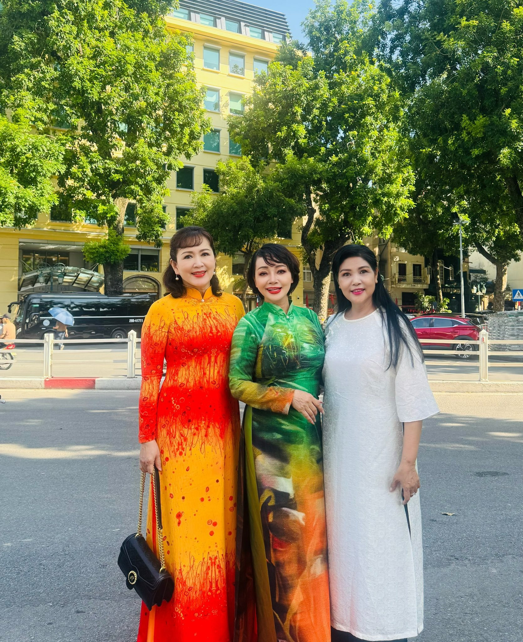 aodai13.jpeg