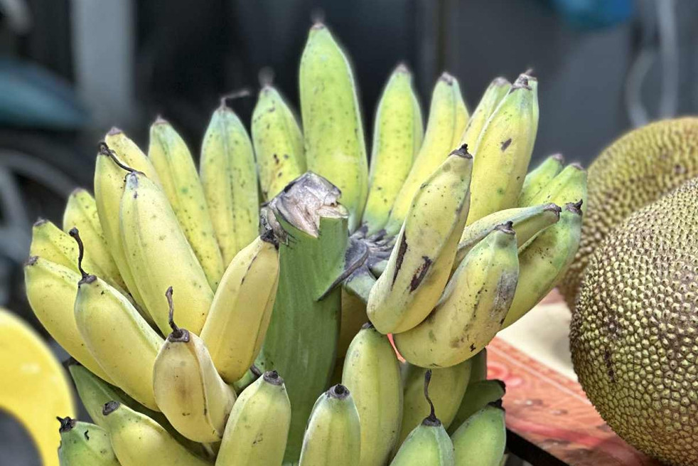 Điều gì xảy ra với cơ thể khi bạn ăn chuối vào bữa sáng mỗi ngày?