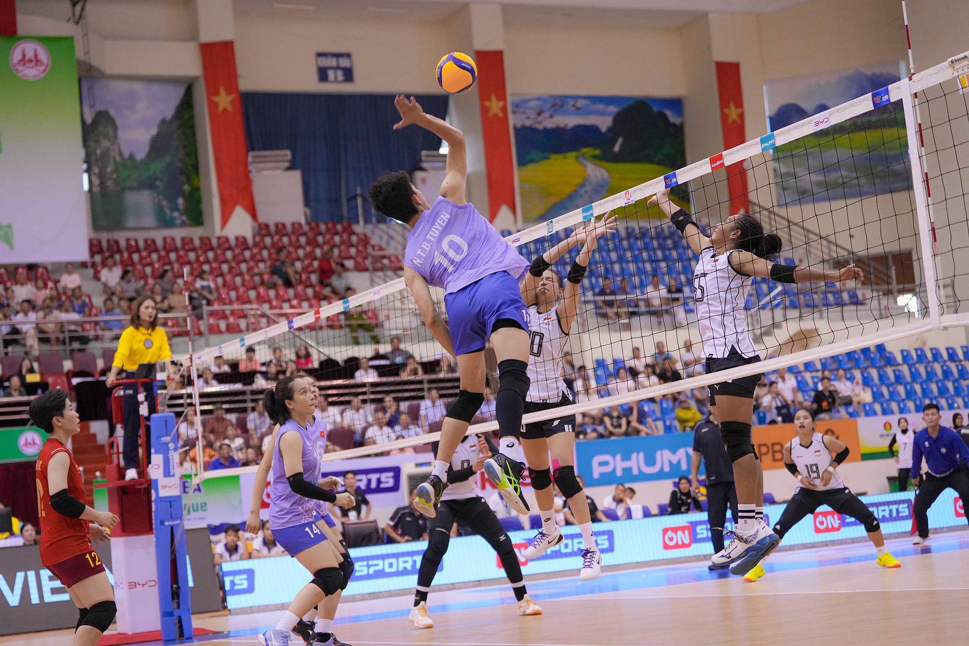 tuyen bong chuyen nu Viet Nam Indonesia 8.jpg