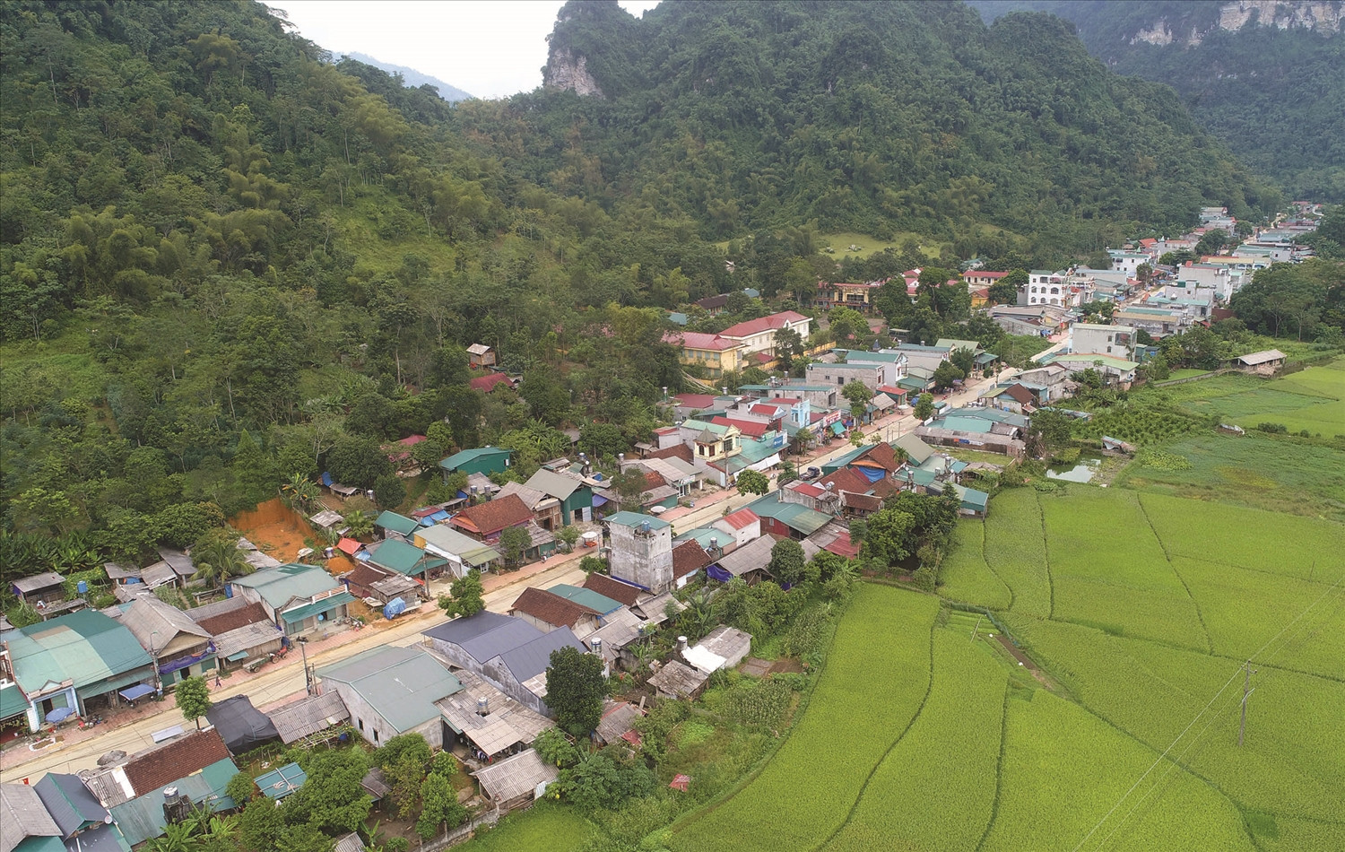 Sỹ Hào ảnh 2.jpg
