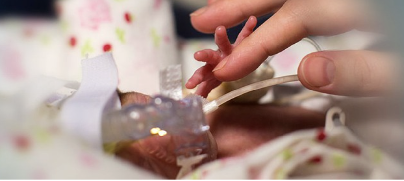 Ảnh màn hình 2025 09 10 lúc 14.05.37.png