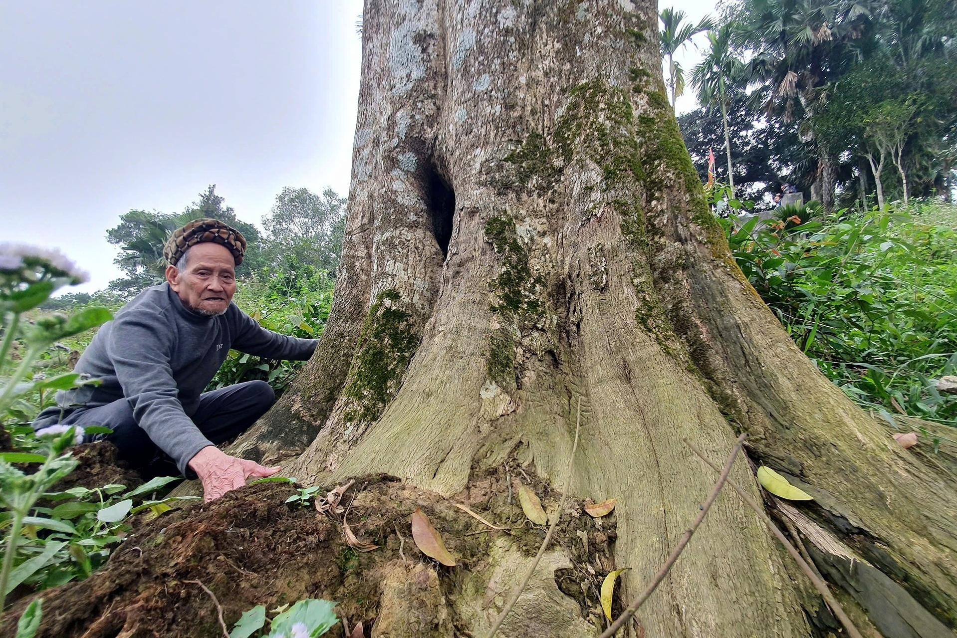 Hai cây trầm hương ở ngôi đền xã miền núi Hà Tĩnh được công nhận là cây di sản
