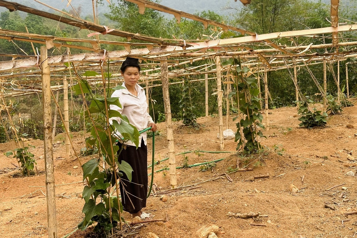 Phụ nữ Điện Biên tiên phong, lan tỏa phong trào chung tay xây dựng nông thôn mới