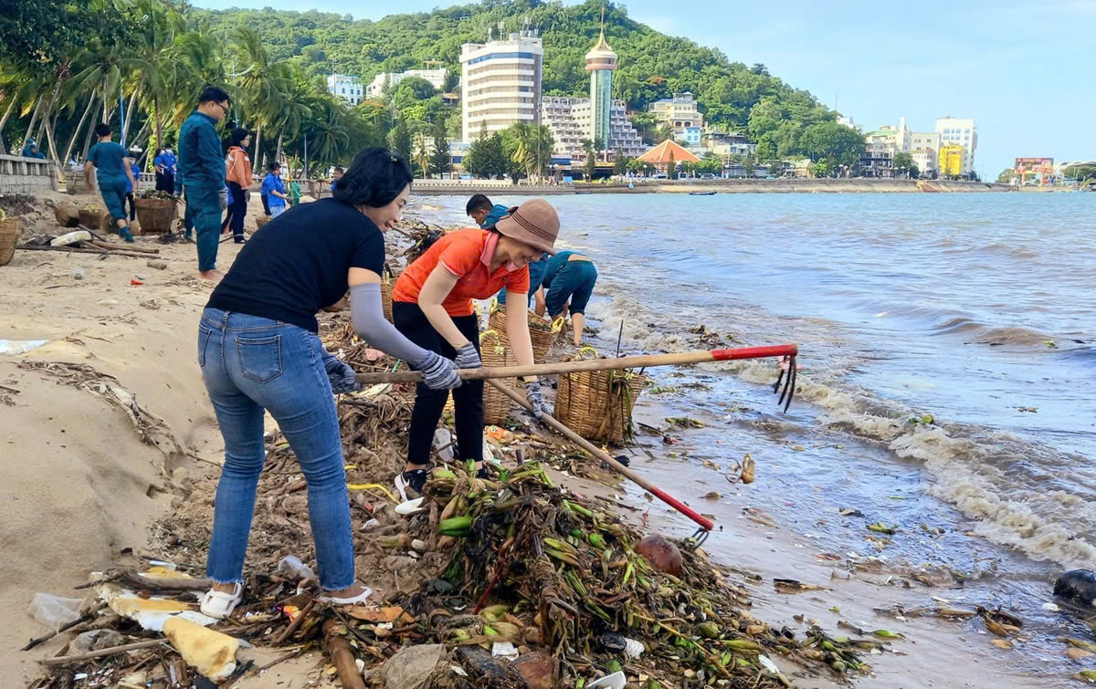 Vũng tàu a4 (1).jpg