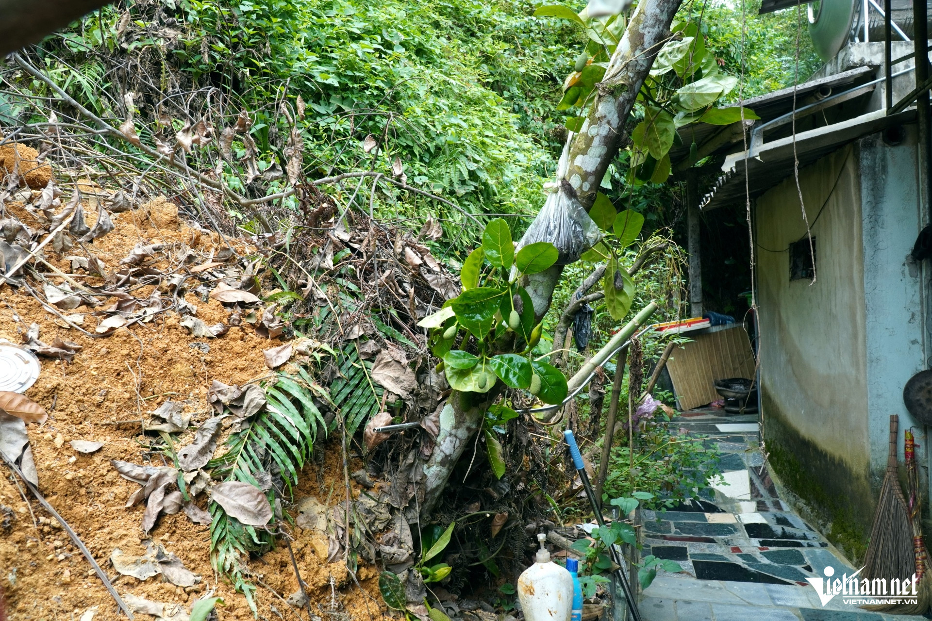 W-a4Gần 30 hộ dân ở Thanh Hóa.JPG.jpg