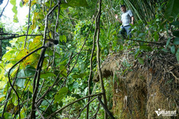 W-a5Gần 30 hộ dân ở Thanh Hóa.JPG.jpg