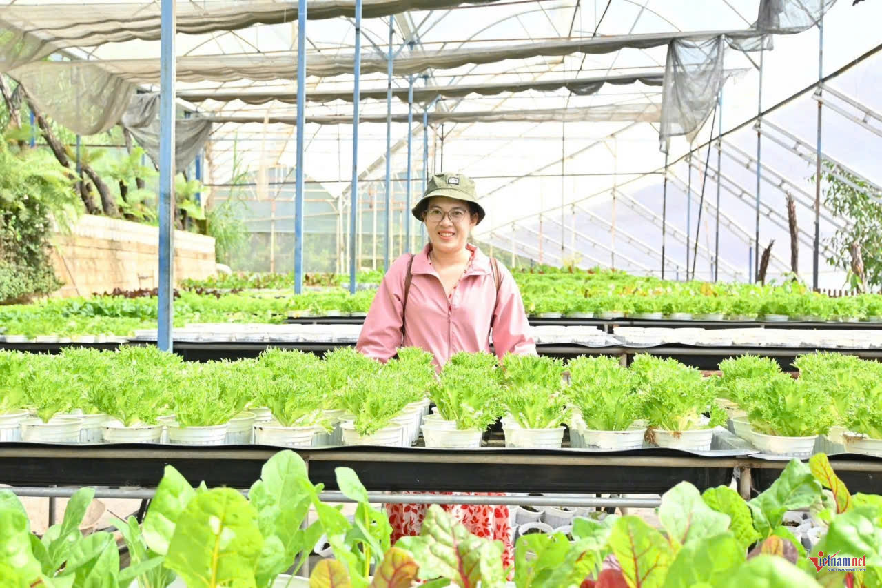 W-anh bai lam dong.jpg