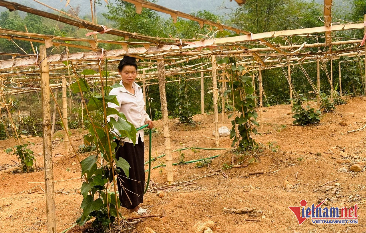 W-điện biên qqq.jpg