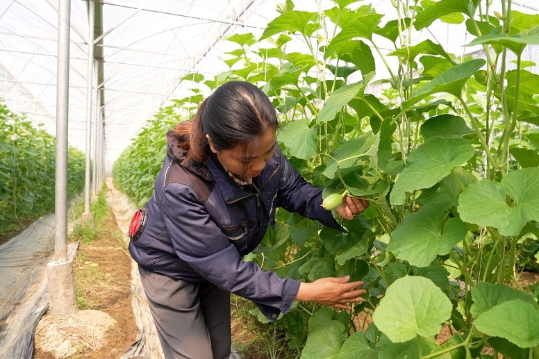 Chợ Gạo phát huy vai trò chủ thể của người dân trong nông thôn mới nâng cao