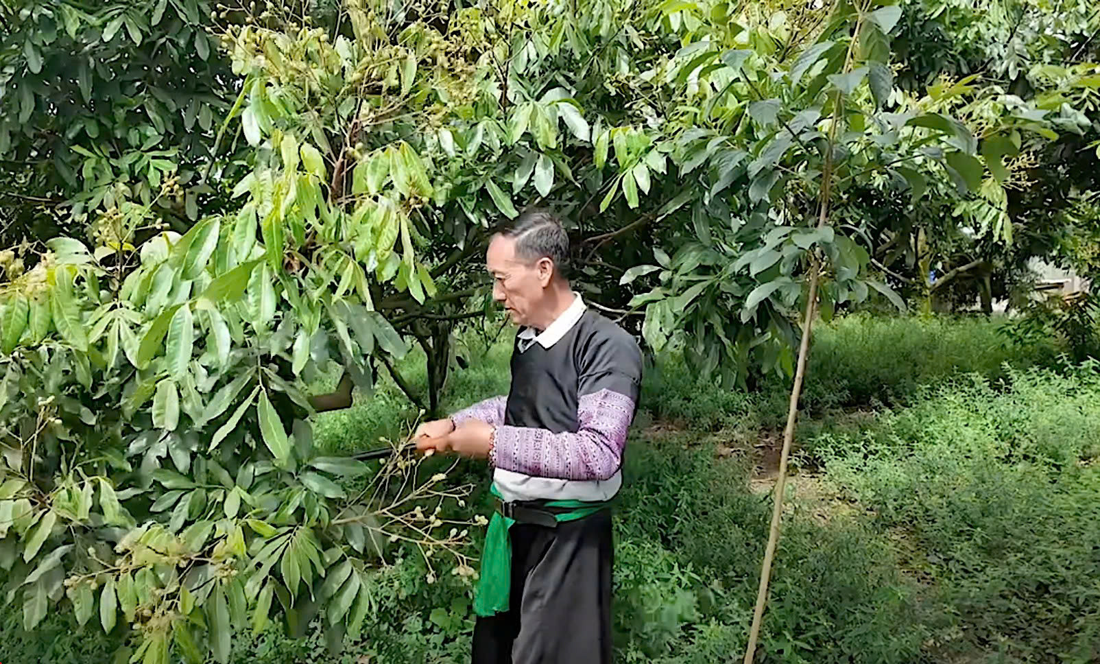 Mộc Châu Ảnh Tin 1.jpg