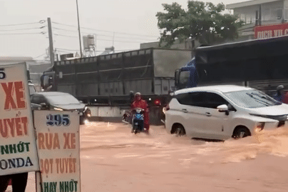 Quốc lộ thành ‘sông’, tài xế ô tô lập ‘hàng rào’ cứu xe máy giữa dòng nước xiết