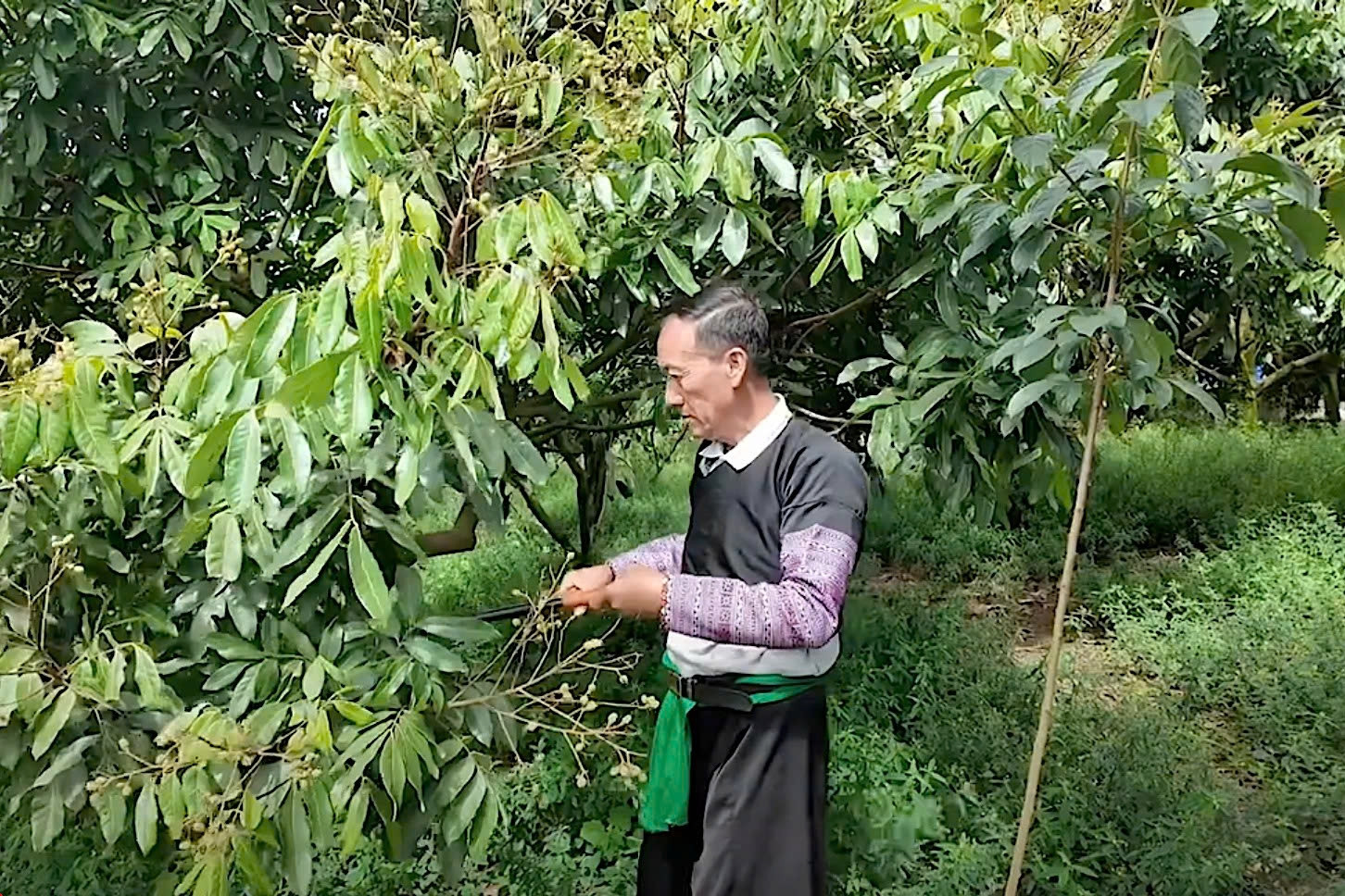 Thi đua giảm nghèo bền vững, Mộc Châu về đích sớm một năm