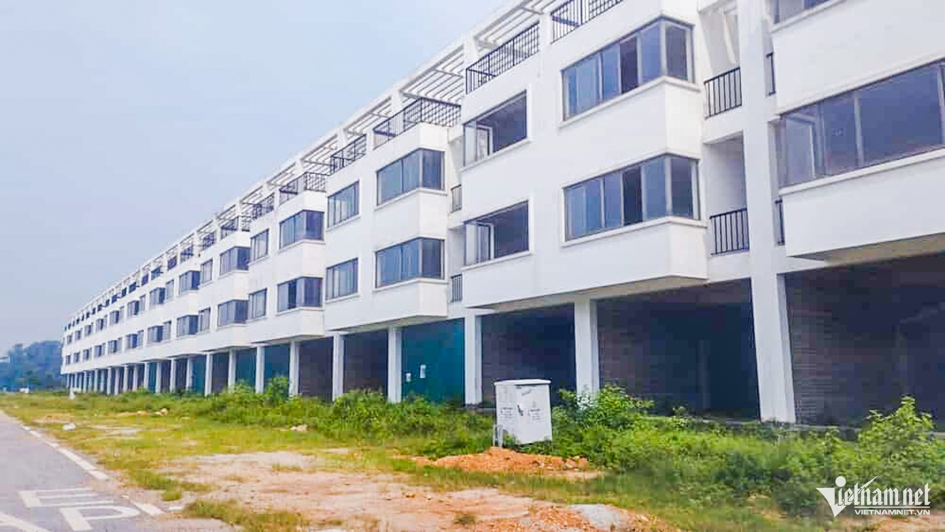 W-Nam Định Lạc Quần_2.jpg