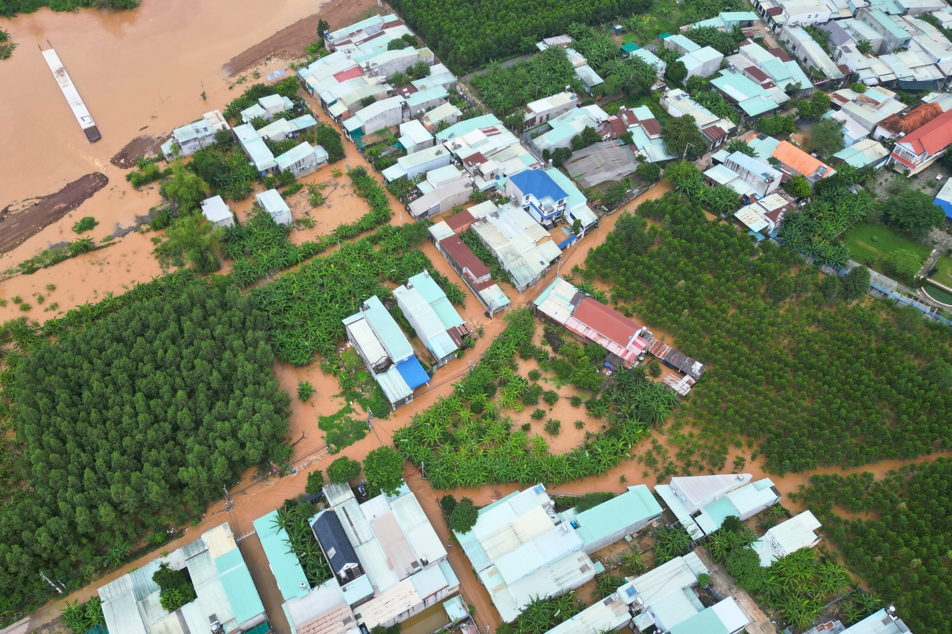 Dân Đồng Nai hô hoán cứu tài sản, đàn gà trăm con trôi trong trận lũ đột ngột