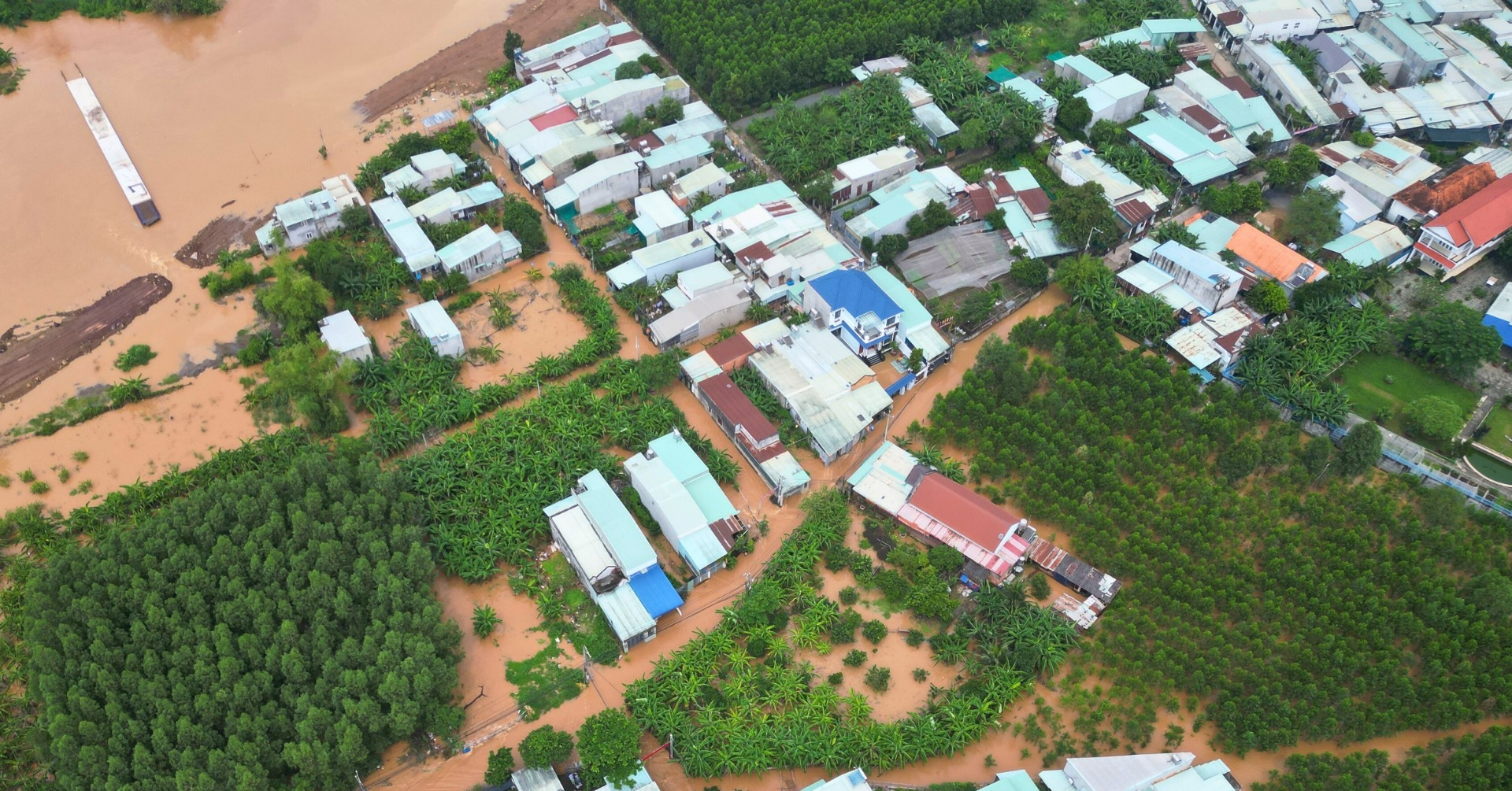 Dân Đồng Nai hô hoán cứu tài sản, đàn gà trăm con trôi trong trận lũ đột ngột