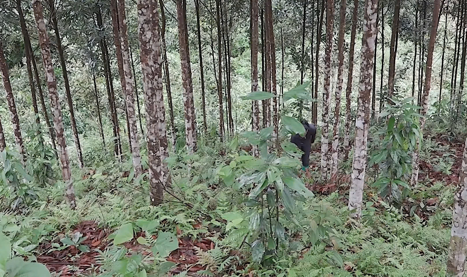 GN Bài 4_ảnh 1.jpg