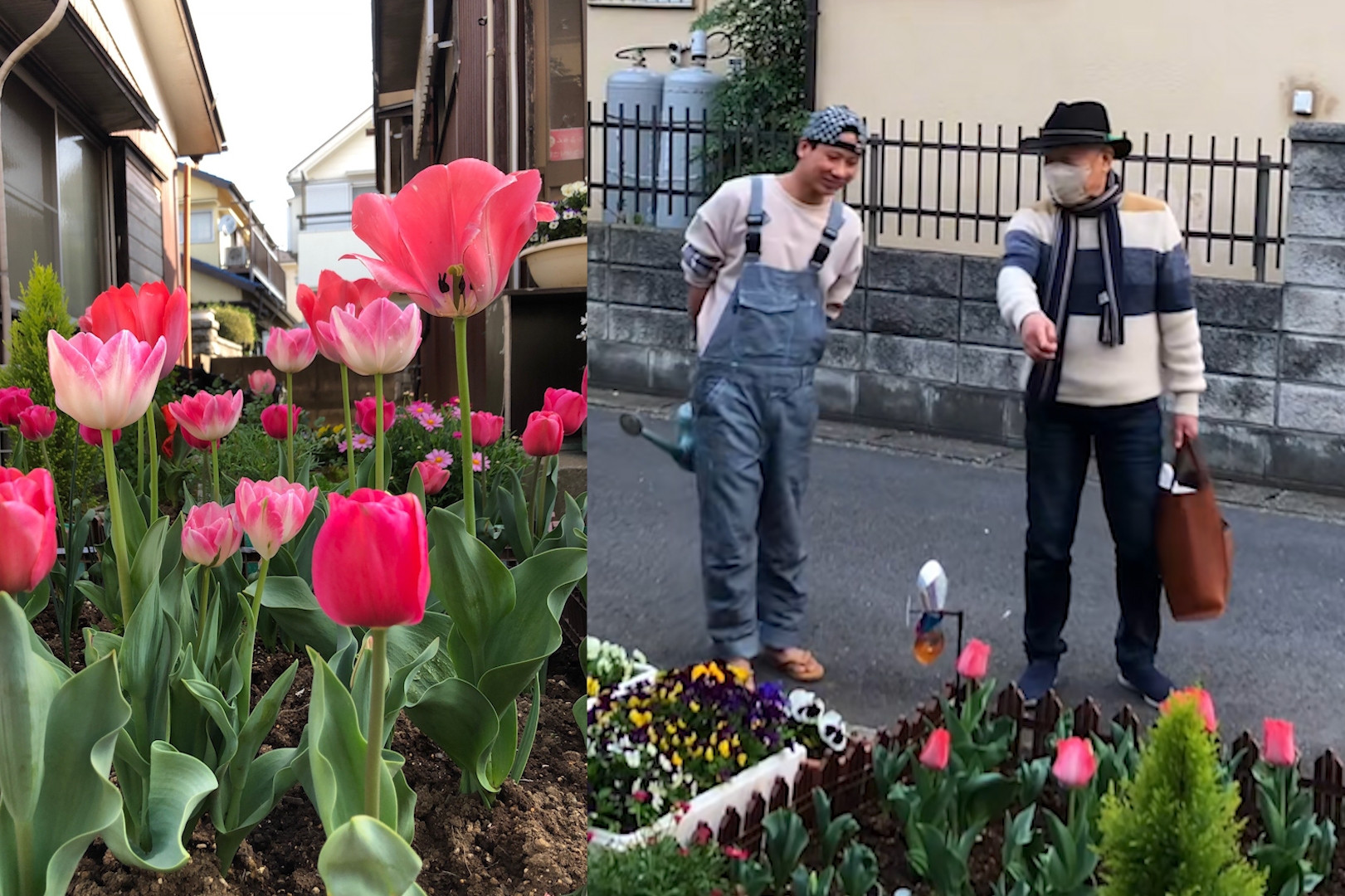 Biến hiên nhà ở Nhật thành vườn hoa rực rỡ, chàng trai Hải Phòng gây chú ý