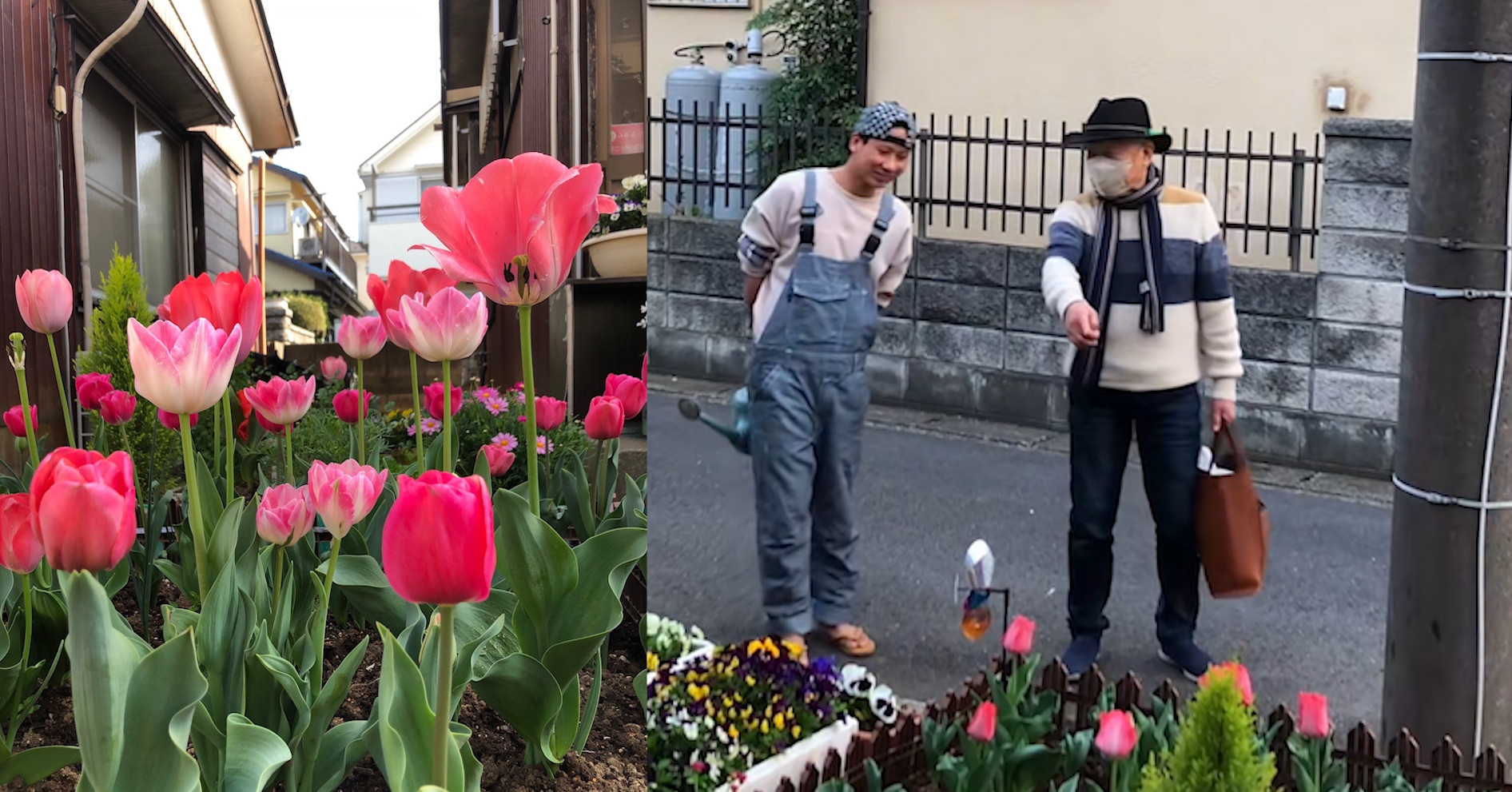 Biến hiên nhà ở Nhật thành vườn hoa rực rỡ, chàng trai Hải Phòng gây chú ý