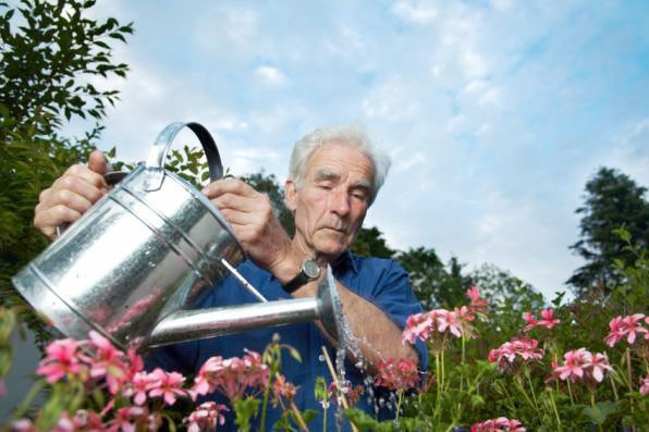 Bác sĩ 100 tuổi nhắc tên 4 loại rau nên ăn thật nhiều Quốc gia nhỏ tạo kỳ tích sống thọ, ít ca ung thư khiến các chuyên gia bất ngờ