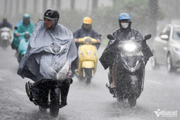 W-mua to hoang minh 1.jpg