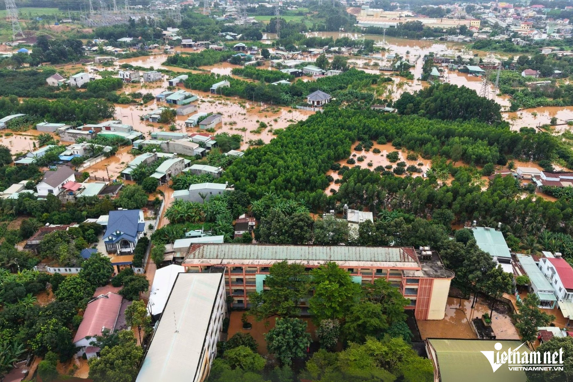 W-phuoc tan 1 10.jpg