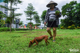 Ảnh trong bài viết: Toàn cảnh 14km hai bên sông Tô Lịch trước khi 'lột xác' thành công viên W-song to lich 2.jpg