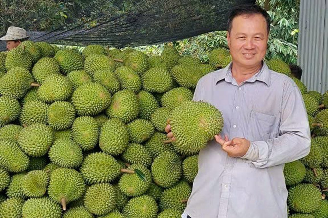 Bỏ vườn tạp, nông dân Cần Thơ thành tỷ phú sầu riêng, lo việc xóm giềng