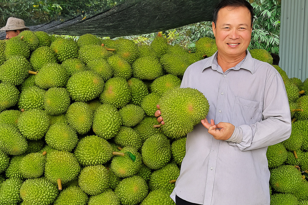 Cần Thơ.jpg