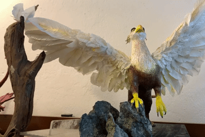 Chàng trai TPHCM gây sốt với mô hình rồng, phượng hoàng 'thần thái' như thật