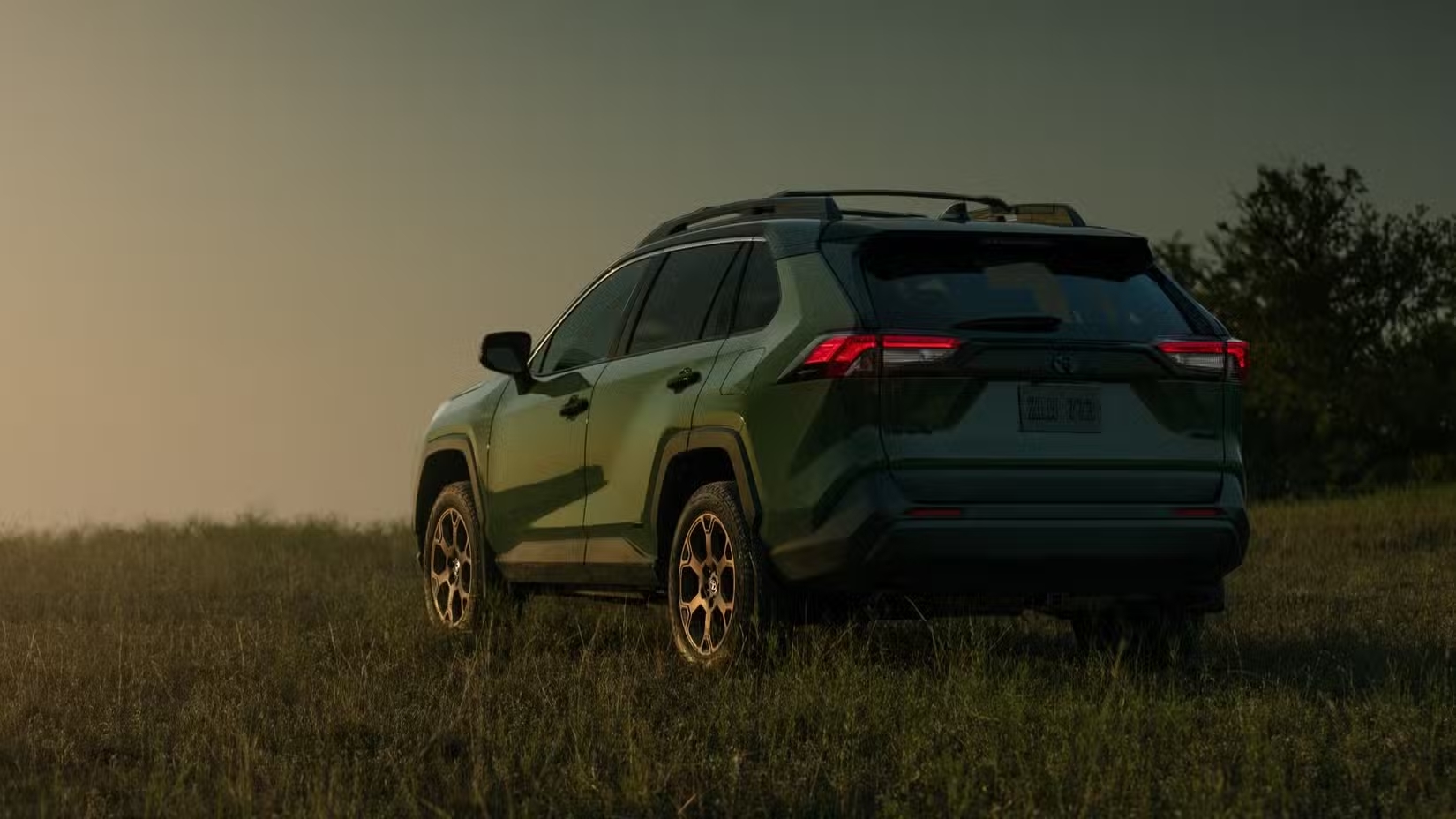 cropped my24_rav4_woodland_004.avif