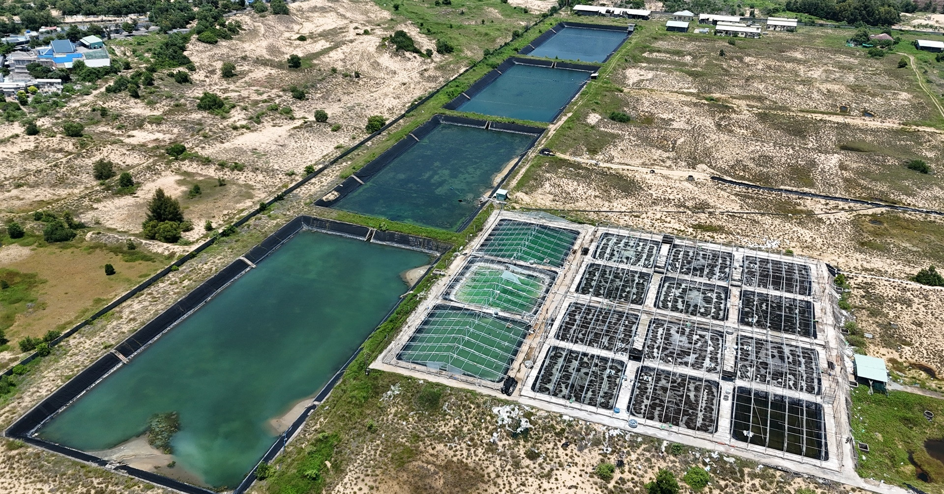 Trung tâm giống hải sản Nam Bộ: Xây dựng khang trang rồi bỏ hoang tiêu điều