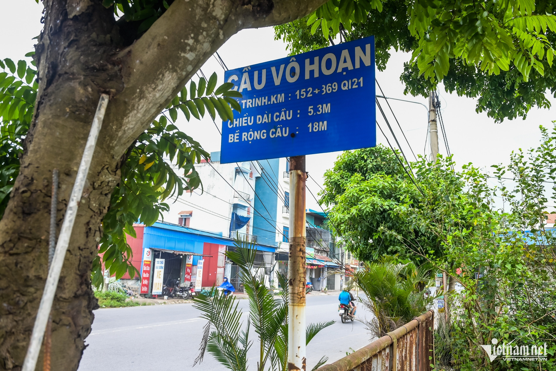 W-Cầu Nam Định_8.jpg