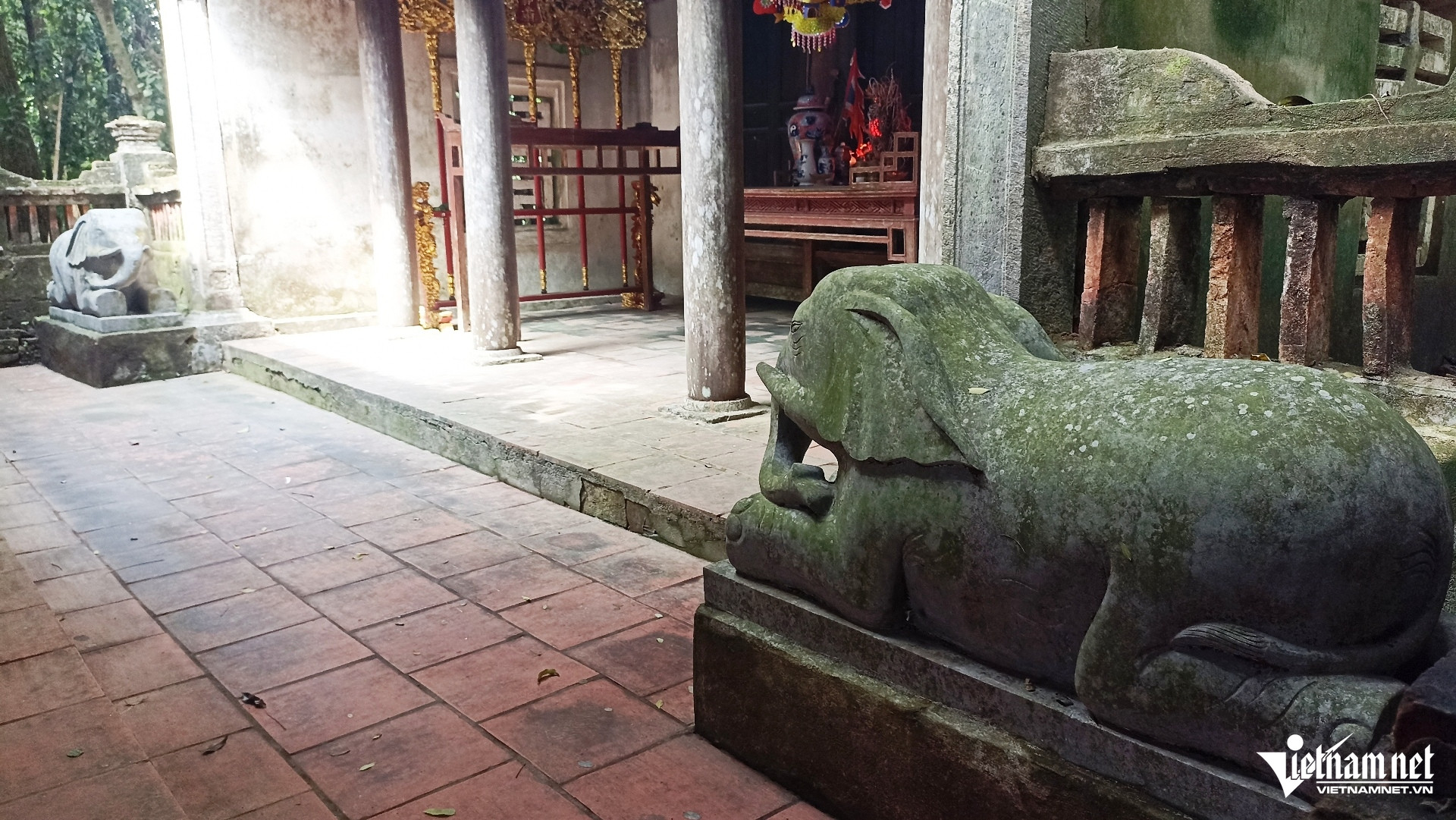 W-Nhồi Hoa 101010.jpg