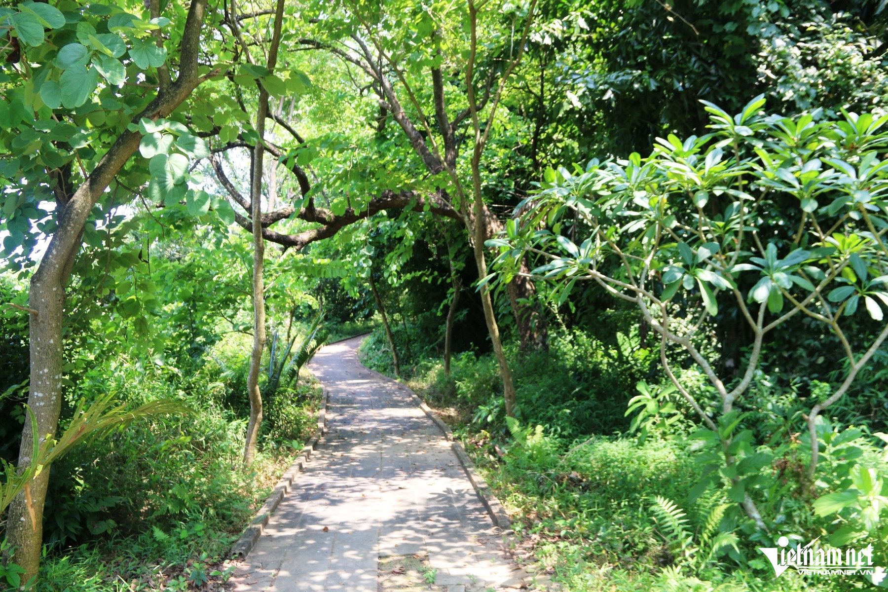 W-Nhồi Hoa 111111.JPG.jpg