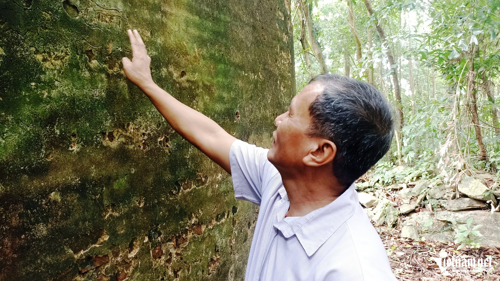 W-Nhồi Hoa  6666.jpg