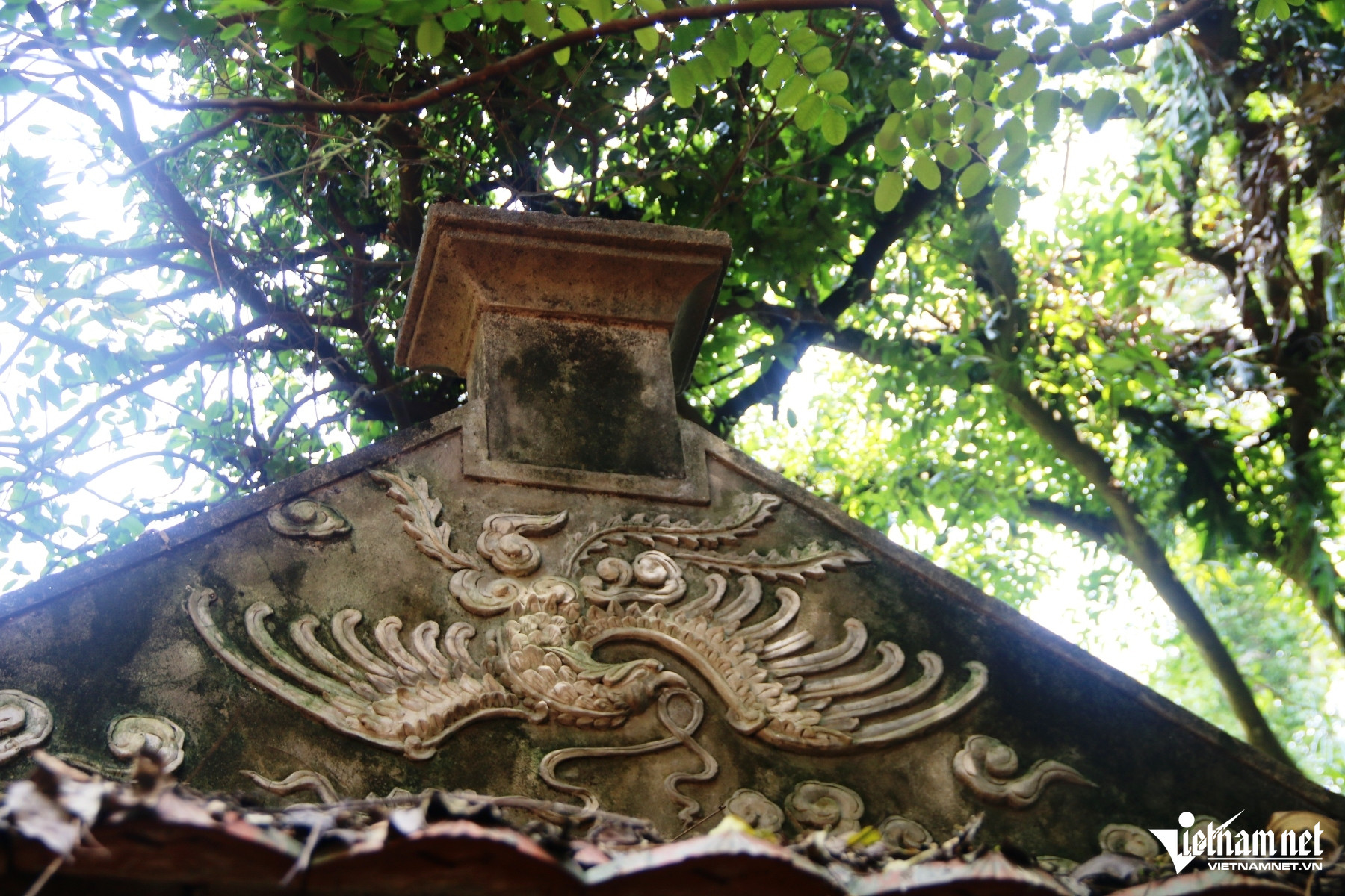 W-Nhồi Hoa 999.JPG.jpg