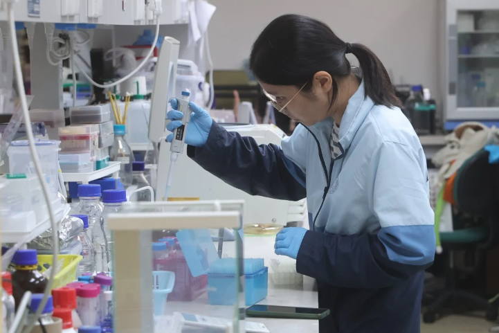 3 tiến sĩ trẻ liên tiếp qua đời phơi bày mặt trái khắc nghiệt của giới học thuật